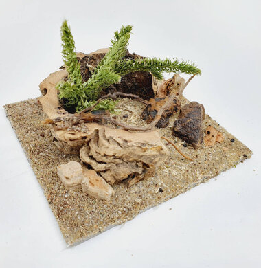 AntScape Biohobby 0223042801023