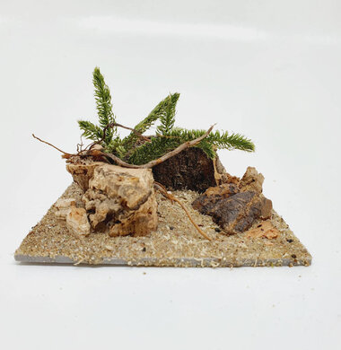 AntScape Biohobby 0223042801023