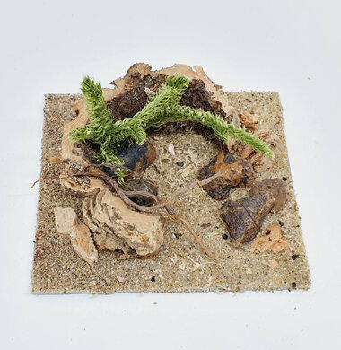 AntScape Biohobby 0223042801023