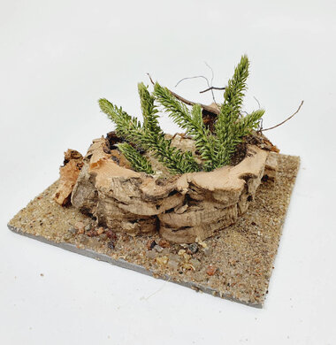 AntScape Biohobby 0223042801023