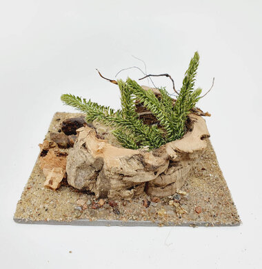 AntScape Biohobby 0223042801023