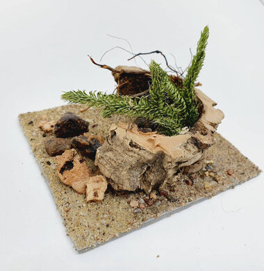 AntScape Biohobby 0223042801023