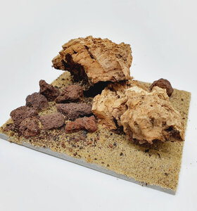 AntScape Biohobby 0223042803013