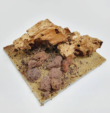 AntScape Biohobby 0223042803013