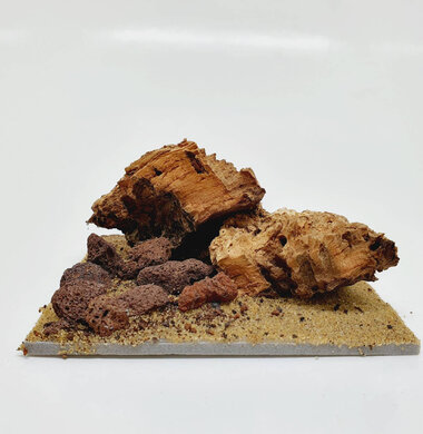 AntScape Biohobby 0223042803013