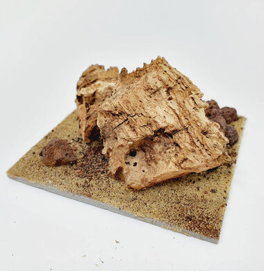 AntScape Biohobby 0223042803013