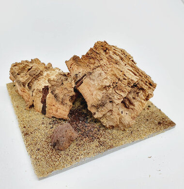 AntScape Biohobby 0223042803013