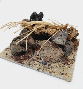 AntScape Biohobby 0223042803015