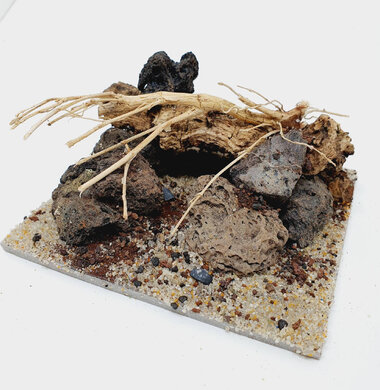 AntScape Biohobby 0223042803015