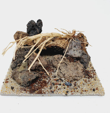 AntScape Biohobby 0223042803015