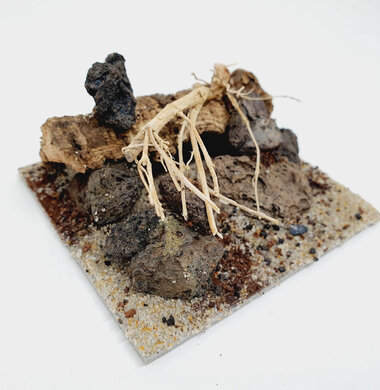 AntScape Biohobby 0223042803015