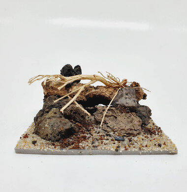 AntScape Biohobby 0223042803015