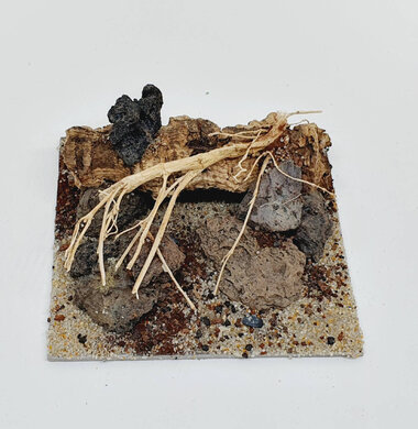 AntScape Biohobby 0223042803015