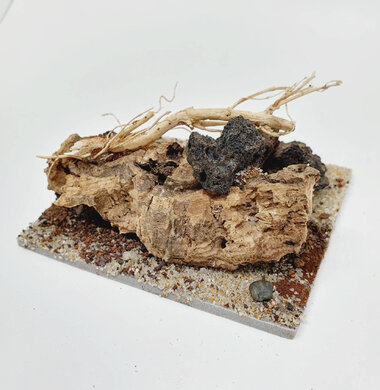 AntScape Biohobby 0223042803015