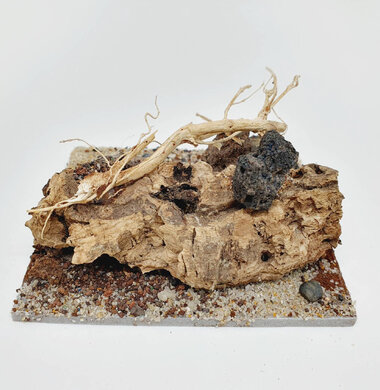 AntScape Biohobby 0223042803015