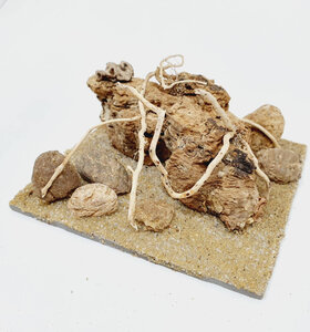 AntScape Biohobby 0223042803025