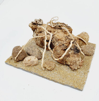 AntScape Biohobby 0223042803025