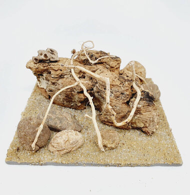 AntScape Biohobby 0223042803025