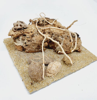 AntScape Biohobby 0223042803025