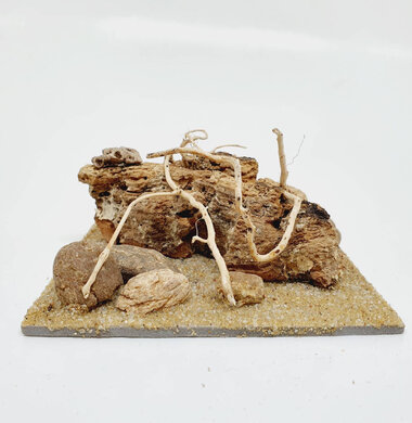 AntScape Biohobby 0223042803025