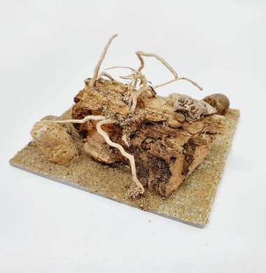 AntScape Biohobby 0223042803025