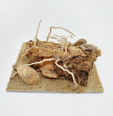 AntScape Biohobby 0223042803025