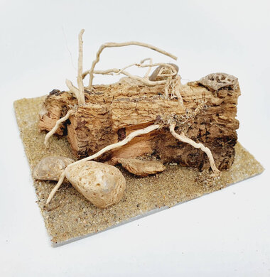 AntScape Biohobby 0223042803025