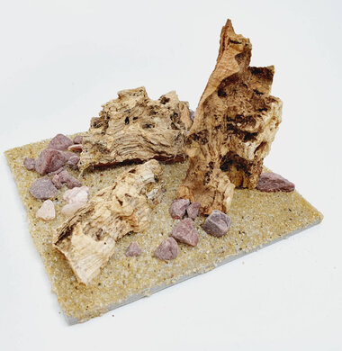 AntScape Biohobby 0223042804021