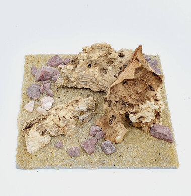 AntScape Biohobby 0223042804021