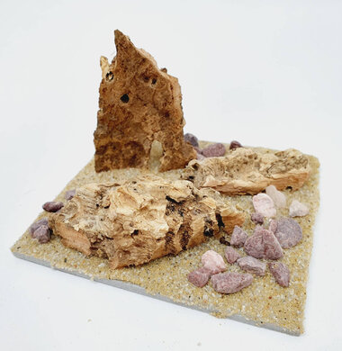 AntScape Biohobby 0223042804021