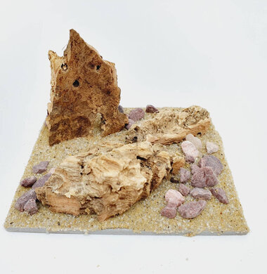 AntScape Biohobby 0223042804021