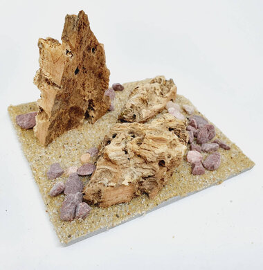 AntScape Biohobby 0223042804021