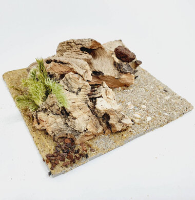 AntScape Biohobby 0223052701008