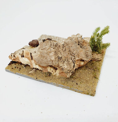 AntScape Biohobby 0223052701008