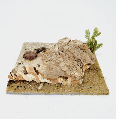 AntScape Biohobby 0223052701008