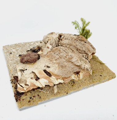 AntScape Biohobby 0223052701008