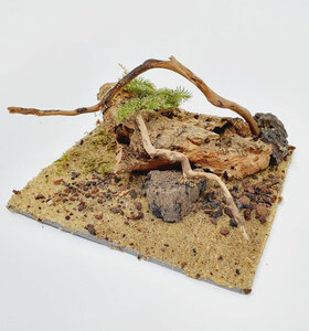 AntScape Biohobby 0223052701011