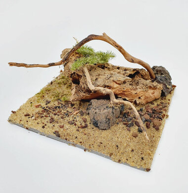 AntScape Biohobby 0223052701011