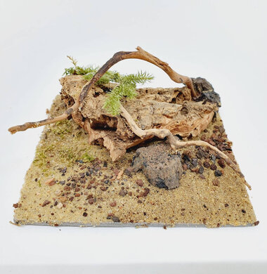 AntScape Biohobby 0223052701011