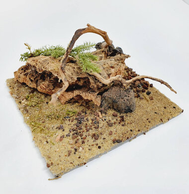 AntScape Biohobby 0223052701011