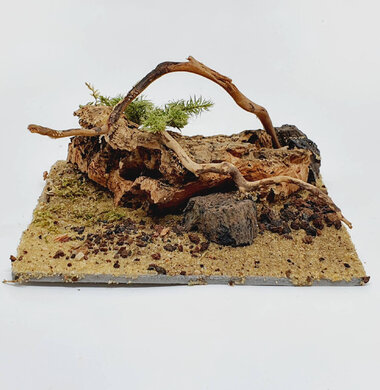 AntScape Biohobby 0223052701011