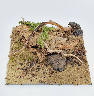 AntScape Biohobby 0223052701011