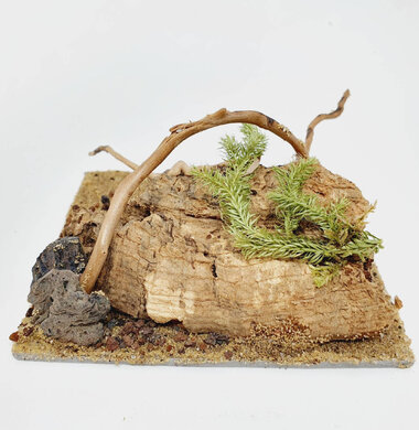 AntScape Biohobby 0223052701011