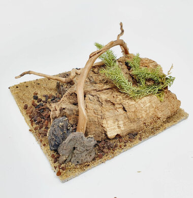 AntScape Biohobby 0223052701011