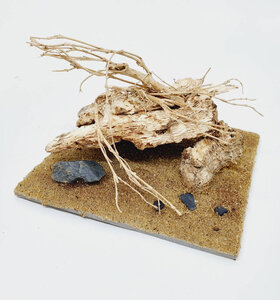 AntScape Biohobby 0223052703007