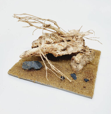 AntScape Biohobby 0223052703007