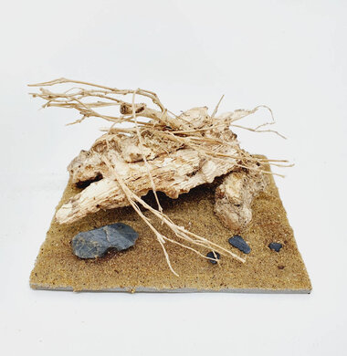 AntScape Biohobby 0223052703007