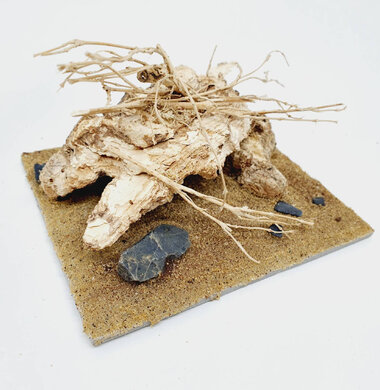 AntScape Biohobby 0223052703007