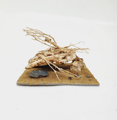 AntScape Biohobby 0223052703007