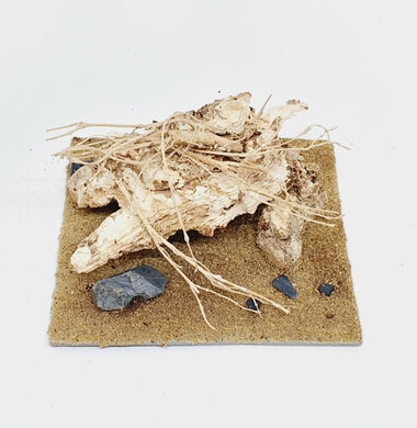 AntScape Biohobby 0223052703007